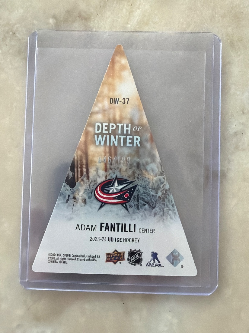 Adam Fantilli back