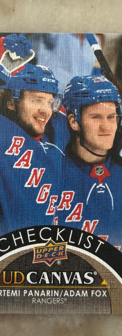 Artemi Panarin / Adam Fox